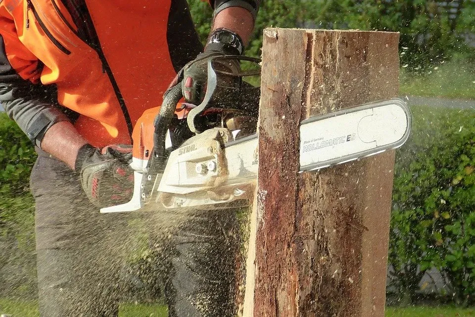 découpe de bois
